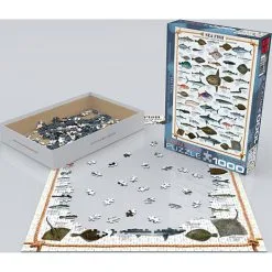 Eurographics Puslespil Sea Fish - 1000 Brikker 5 Eurographics Puslespil Sea Fish - 1000 Brikker -Konstruktionslegetøj butik 2bb905c9 1ab9 4e0b 8046 d4df48f8f70e