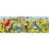 Eurographics Puslespil Garden Birds Panorama - 1000 Brikker -Konstruktionslegetøj butik 460bf84f eb3e 4a2d b604 d27e6512e2a5