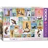 Eurographics Puslespil Yoga Cats - 1000 Brikker -Konstruktionslegetøj butik 65af1342 472d 4f39 a825 98988422250a