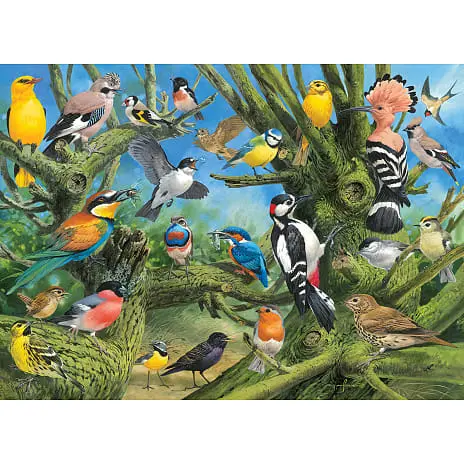 Eurographics Puslespil Garden Birds - 1000 Brikker 4 Eurographics Puslespil Garden Birds - 1000 Brikker - Billede 2