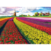 Eurographics Puslespil Tulip Fields Netherlands - 1000 Brikker