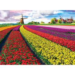 Eurographics Puslespil Tulip Fields Netherlands - 1000 Brikker