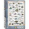 Eurographics Puslespil Sea Fish - 1000 Brikker 2 Eurographics Puslespil Sea Fish - 1000 Brikker -Konstruktionslegetøj butik 8e7c46b2 e425 4efe b835 0de535f6ca7d