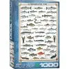Eurographics Puslespil Freshwater Fish - 1000 Brikker -Konstruktionslegetøj butik a3b7f64e 2186 4184 b4b5 5ff8ca6cc13b