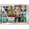 Eurographics Puslespil Funny Animals 1000 Brikker