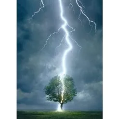 Eurographics Puslespil Lightning Strike Tree - 1000 Brikker -Konstruktionslegetøj butik a4ab3cd4 580f 4aa4 b24c 5a5e58b26b8b