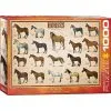 Eurographics Puslespil Horses - 1000 Brikker 1 Eurographics Puslespil Horses - 1000 Brikker -Konstruktionslegetøj butik f371ec3c e76e 417c 91be e59da28397ce