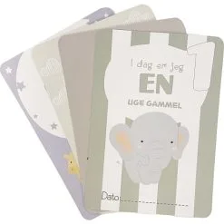 Spire Babykort 12 Spire Babykort -Konstruktionslegetøj butik f4349818 03a6 41bf b42a ebf3adffeb1e 2